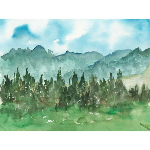 Stand of Evergreens II White Modern Wood Framed Art Print by Harper, Ethan