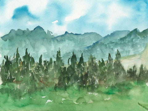 Stand of Evergreens II White Modern Wood Framed Art Print with Double Matting by Harper, Ethan