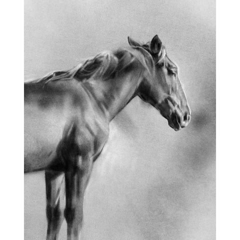 Charcoal Equine Portrait I Gold Ornate Wood Framed Art Print with Double Matting by Caroline, Emma