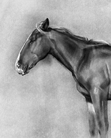 Charcoal Equine Portrait II Black Ornate Wood Framed Art Print with Double Matting by Caroline, Emma