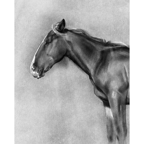 Charcoal Equine Portrait II Gold Ornate Wood Framed Art Print with Double Matting by Caroline, Emma