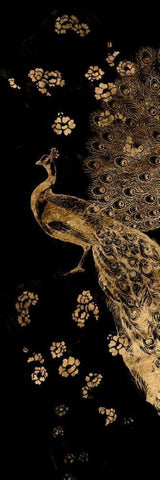 Gilded Peacock Triptych I White Modern Wood Framed Art Print with Double Matting by Goldberger, Jennifer