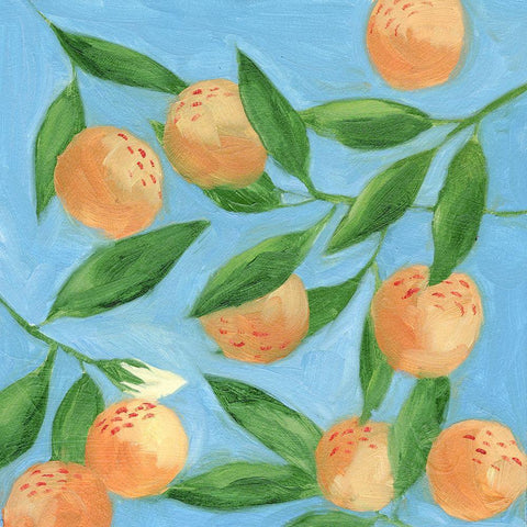 Sweet Tangerine II White Modern Wood Framed Art Print by Wang, Melissa