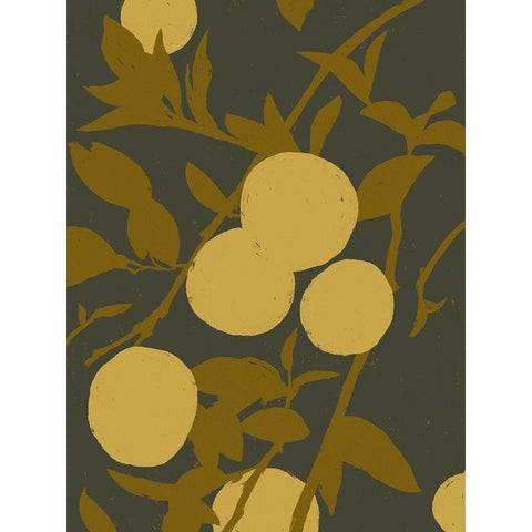 Golden Satsuma I Black Modern Wood Framed Art Print with Double Matting by Green, Jacob