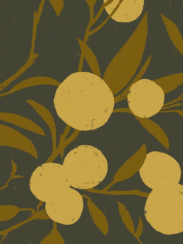 Golden Satsuma II White Modern Wood Framed Art Print with Double Matting by Green, Jacob