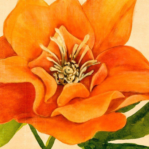 Copper Petals II Black Modern Wood Framed Art Print with Double Matting by Warren, Annie