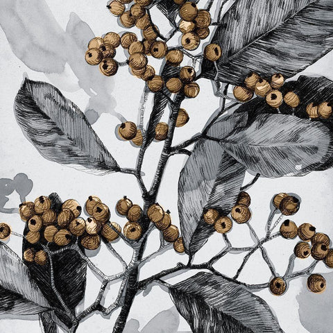 Holly Shadow I White Modern Wood Framed Art Print by Caroline, Emma
