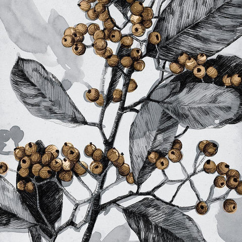 Holly Shadow I White Modern Wood Framed Art Print with Double Matting by Caroline, Emma