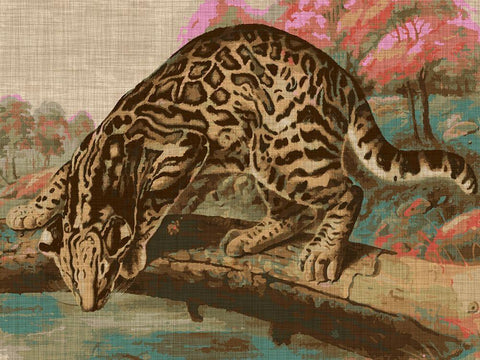 Urban Jungle Cat I Black Ornate Wood Framed Art Print with Double Matting by Fagalde, Jarman