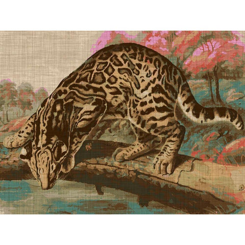 Urban Jungle Cat I Black Modern Wood Framed Art Print with Double Matting by Fagalde, Jarman