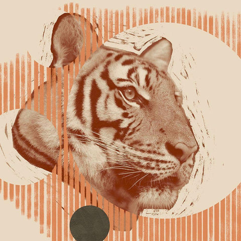 Pop Art Tiger I Black Modern Wood Framed Art Print with Double Matting by Green, Jacob