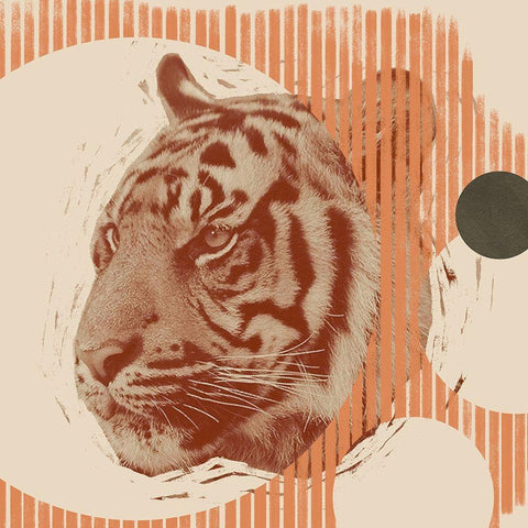 Pop Art Tiger II Black Modern Wood Framed Art Print with Double Matting by Green, Jacob