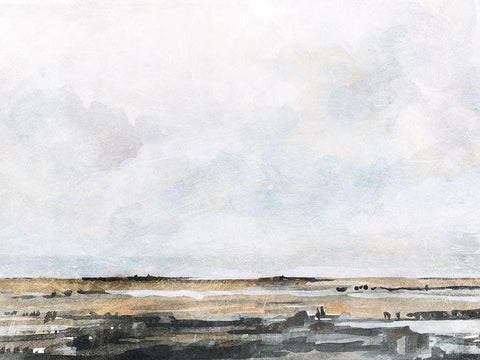 Ocean Inlet II Black Ornate Wood Framed Art Print with Double Matting by Caroline, Emma