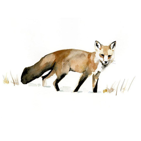 Winter Fox I White Modern Wood Framed Art Print by Barnes, Victoria