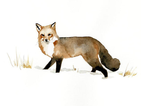 Winter Fox II White Modern Wood Framed Art Print with Double Matting by Barnes, Victoria