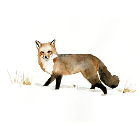 Winter Fox II White Modern Wood Framed Art Print by Barnes, Victoria