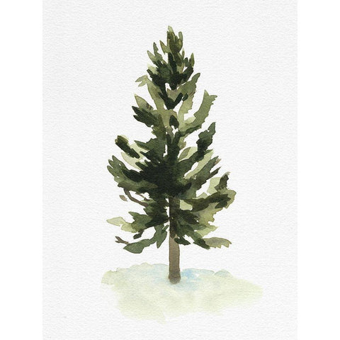 Watercolor Pine I Gold Ornate Wood Framed Art Print with Double Matting by Caroline, Emma
