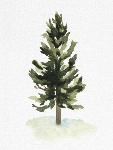 Watercolor Pine I White Modern Wood Framed Art Print with Double Matting by Caroline, Emma