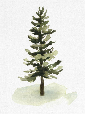 Watercolor Pine II White Modern Wood Framed Art Print with Double Matting by Caroline, Emma