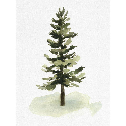 Watercolor Pine II White Modern Wood Framed Art Print by Caroline, Emma