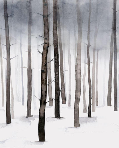 Hazy Winter Walk II Black Ornate Wood Framed Art Print with Double Matting by Popp, Grace