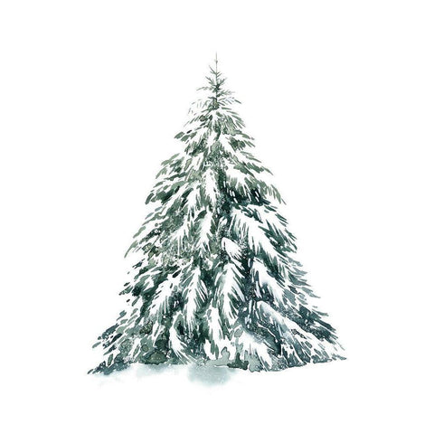 Blue Spruce I Black Modern Wood Framed Art Print with Double Matting by Popp, Grace