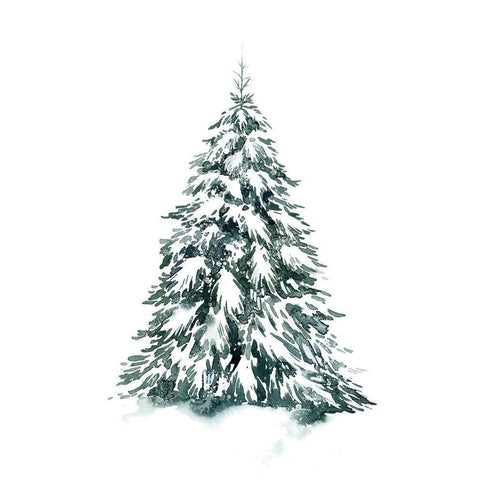 Blue Spruce II White Modern Wood Framed Art Print by Popp, Grace