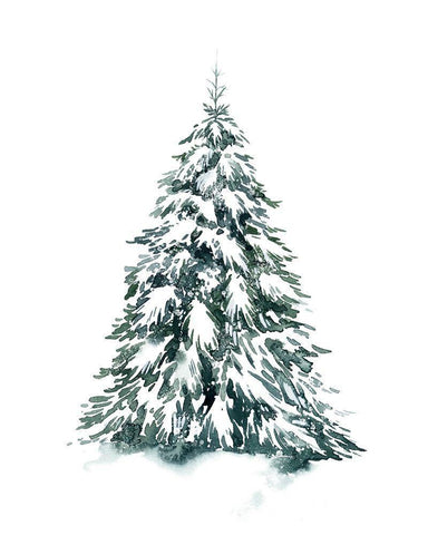 Blue Spruce II White Modern Wood Framed Art Print with Double Matting by Popp, Grace