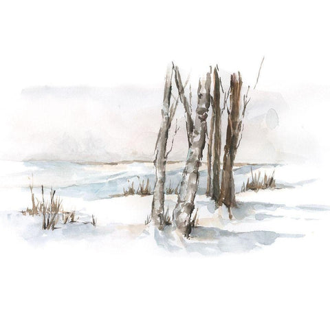 First Snowfall I White Modern Wood Framed Art Print by Harper, Ethan