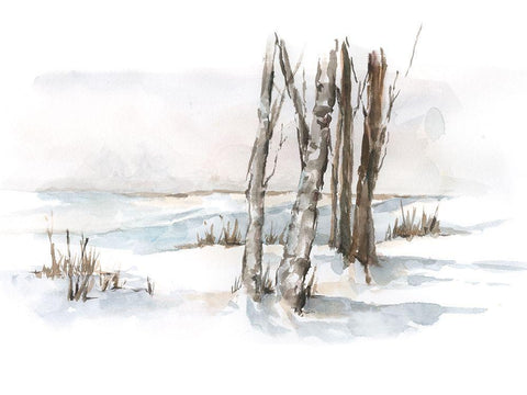 First Snowfall I White Modern Wood Framed Art Print with Double Matting by Harper, Ethan