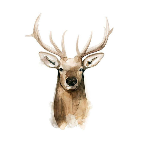 Watercolor Elk Portrait I White Modern Wood Framed Art Print by Popp, Grace