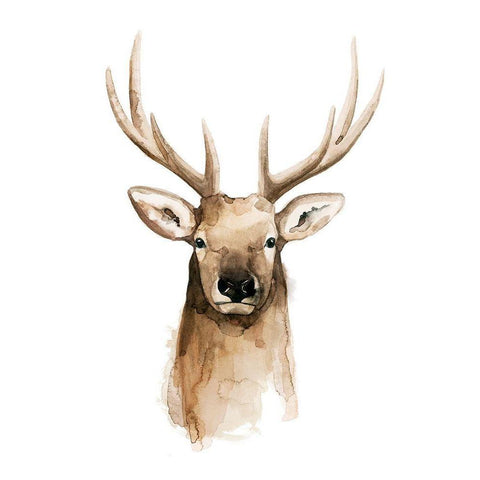 Watercolor Elk Portrait II White Modern Wood Framed Art Print by Popp, Grace