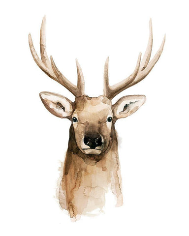 Watercolor Elk Portrait II White Modern Wood Framed Art Print with Double Matting by Popp, Grace