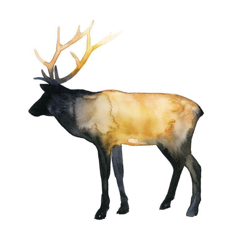 Elk Aglow I Black Modern Wood Framed Art Print with Double Matting by Popp, Grace