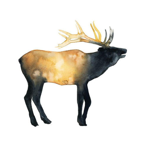 Elk Aglow II White Modern Wood Framed Art Print with Double Matting by Popp, Grace