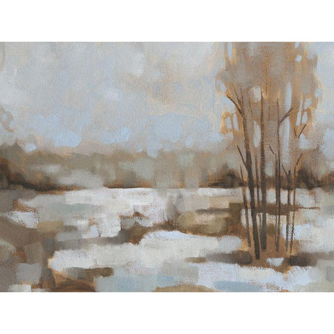 Snowscape II Black Modern Wood Framed Art Print with Double Matting by Green, Jacob