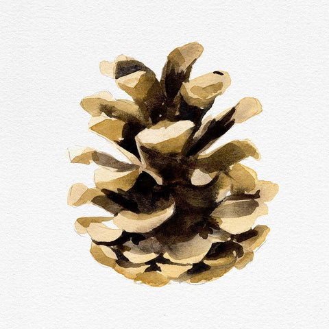 Conifer Cone II Gold Ornate Wood Framed Art Print with Double Matting by Caroline, Emma