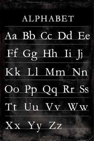 Alphabet Chart Black Ornate Wood Framed Art Print with Double Matting by Vision Studio