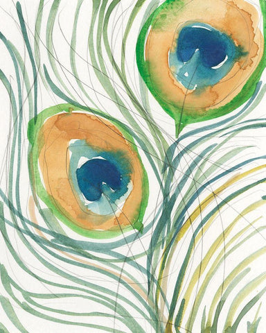 Peacock Abstract I White Modern Wood Framed Art Print with Double Matting by Dixon, Samuel