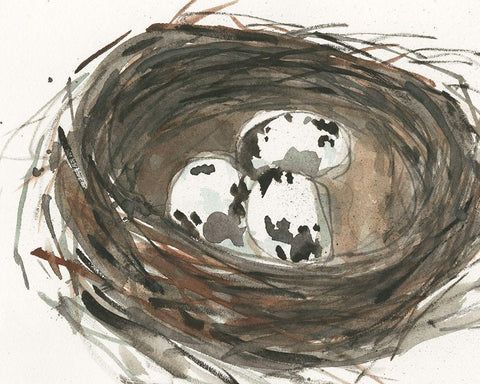 Nesting Eggs I Black Ornate Wood Framed Art Print with Double Matting by Dixon, Samuel