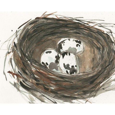 Nesting Eggs I White Modern Wood Framed Art Print by Dixon, Samuel