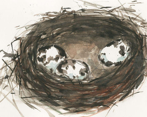 Nesting Eggs II White Modern Wood Framed Art Print with Double Matting by Dixon, Samuel