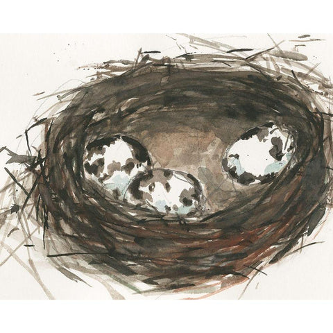 Nesting Eggs II Black Modern Wood Framed Art Print by Dixon, Samuel