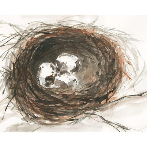 Nesting Eggs III White Modern Wood Framed Art Print by Dixon, Samuel