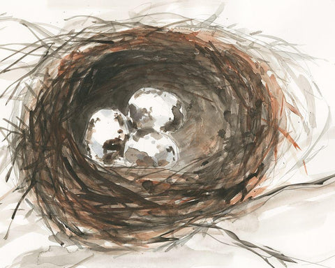 Nesting Eggs III Black Ornate Wood Framed Art Print with Double Matting by Dixon, Samuel