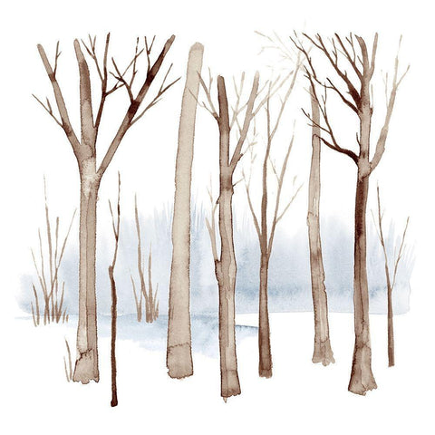 Cypress Sounds I White Modern Wood Framed Art Print with Double Matting by Popp, Grace