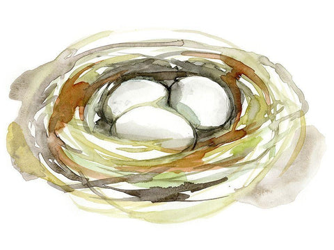 Watercolor Nest I White Modern Wood Framed Art Print with Double Matting by Goldberger, Jennifer