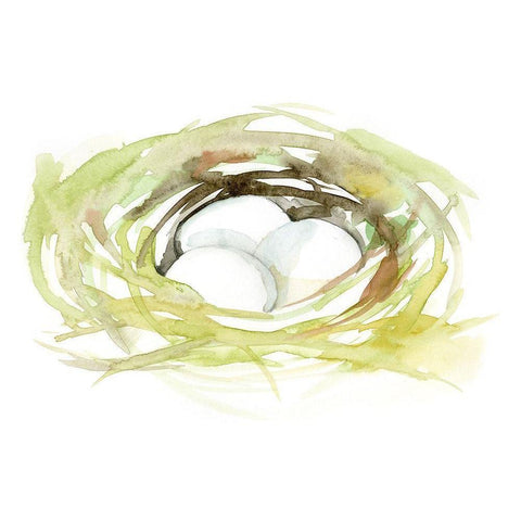 Watercolor Nest II White Modern Wood Framed Art Print by Goldberger, Jennifer