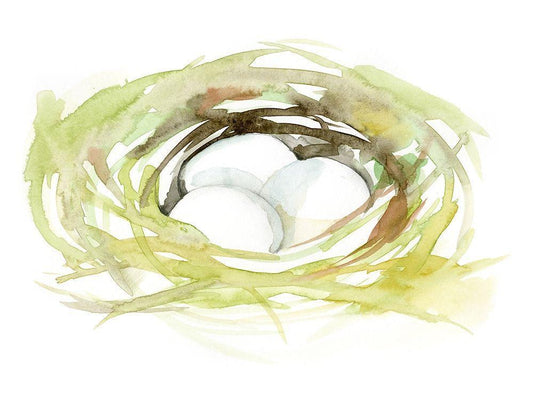Image Only