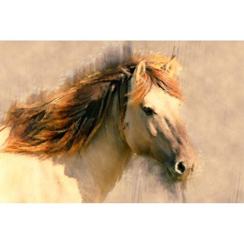 Blended Horse I White Modern Wood Framed Art Print by Curinga, Kim